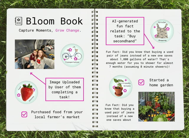 Bloom Book