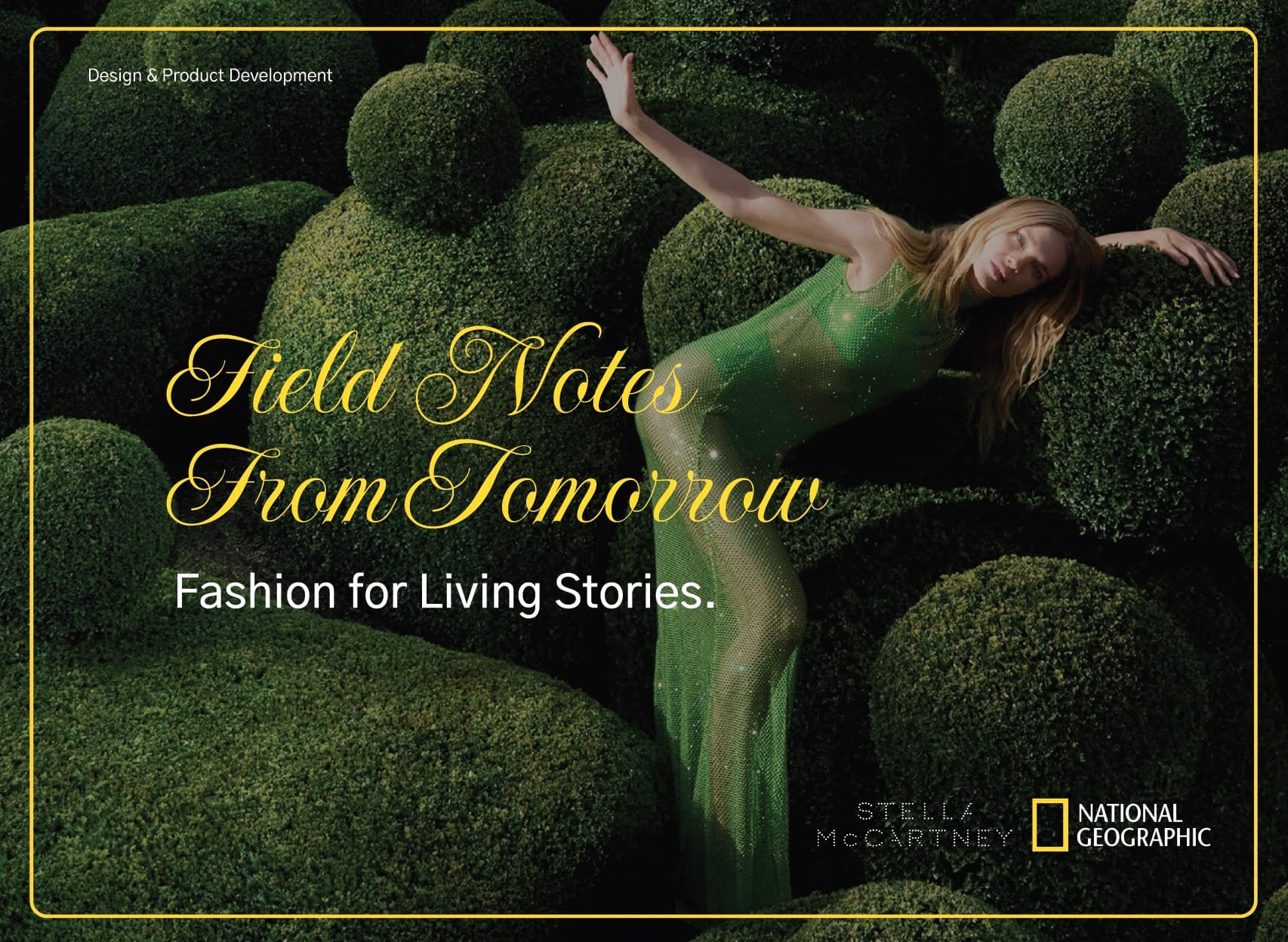 Field Notes From Tomorrow